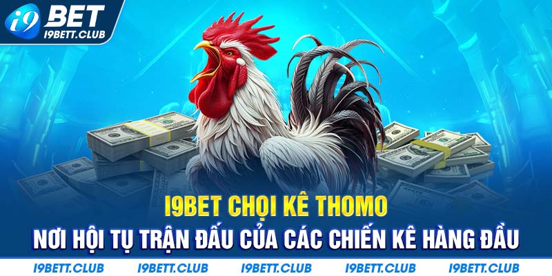 I9Bet Chọi Kê Thomo - Nơi hội tụ trận đấu của các chiến kê hàng đầu