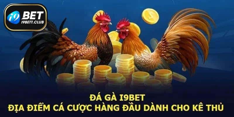 Xem live chọi gà I9BET chất lượng cùng thao tác cá cược siêu dễ
