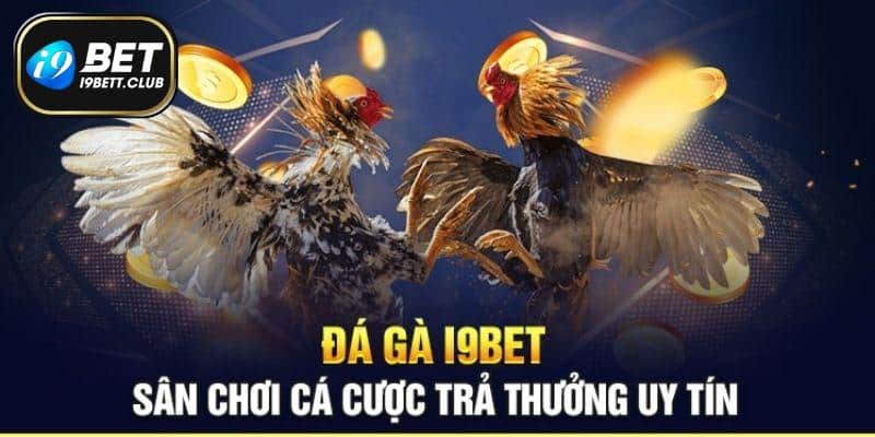 Tỷ lệ ăn và ưu đãi đi kèm tại chọi gà I9BET cực đỉnh